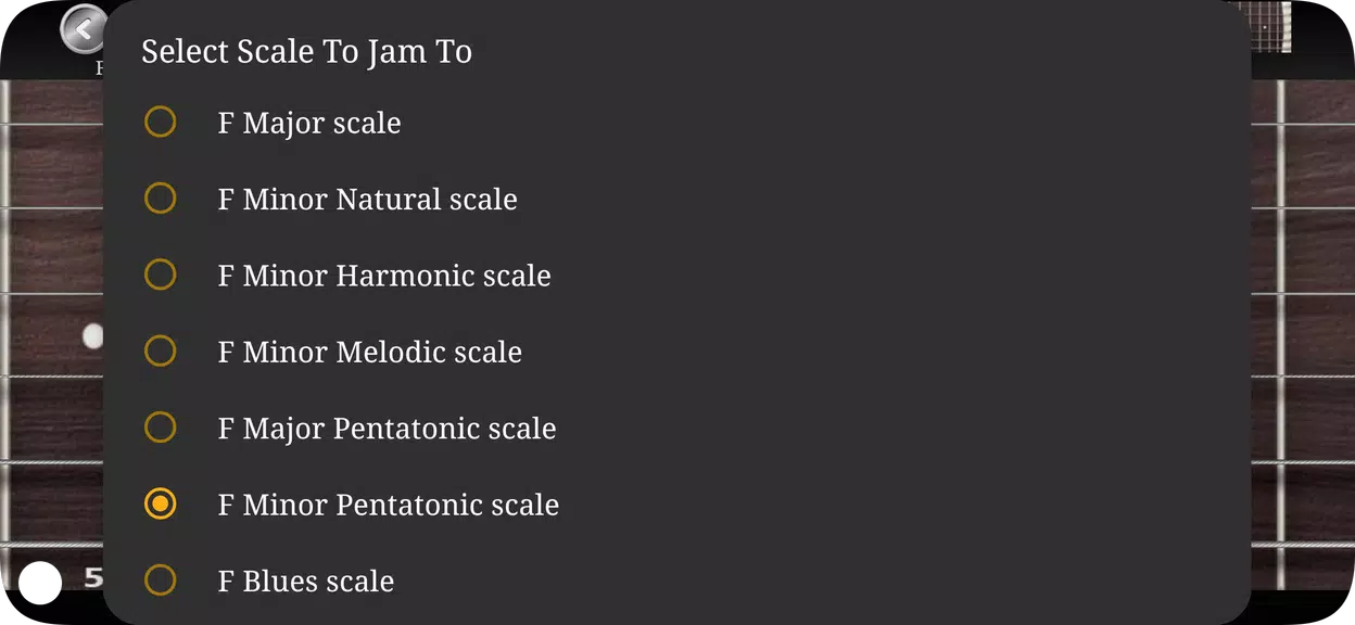 Guitar Scales & Chords ဖန်သားပြင်ဓာတ်ပုံ 2