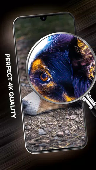 Wallpapers with dogs in 4K Capture d'écran 3