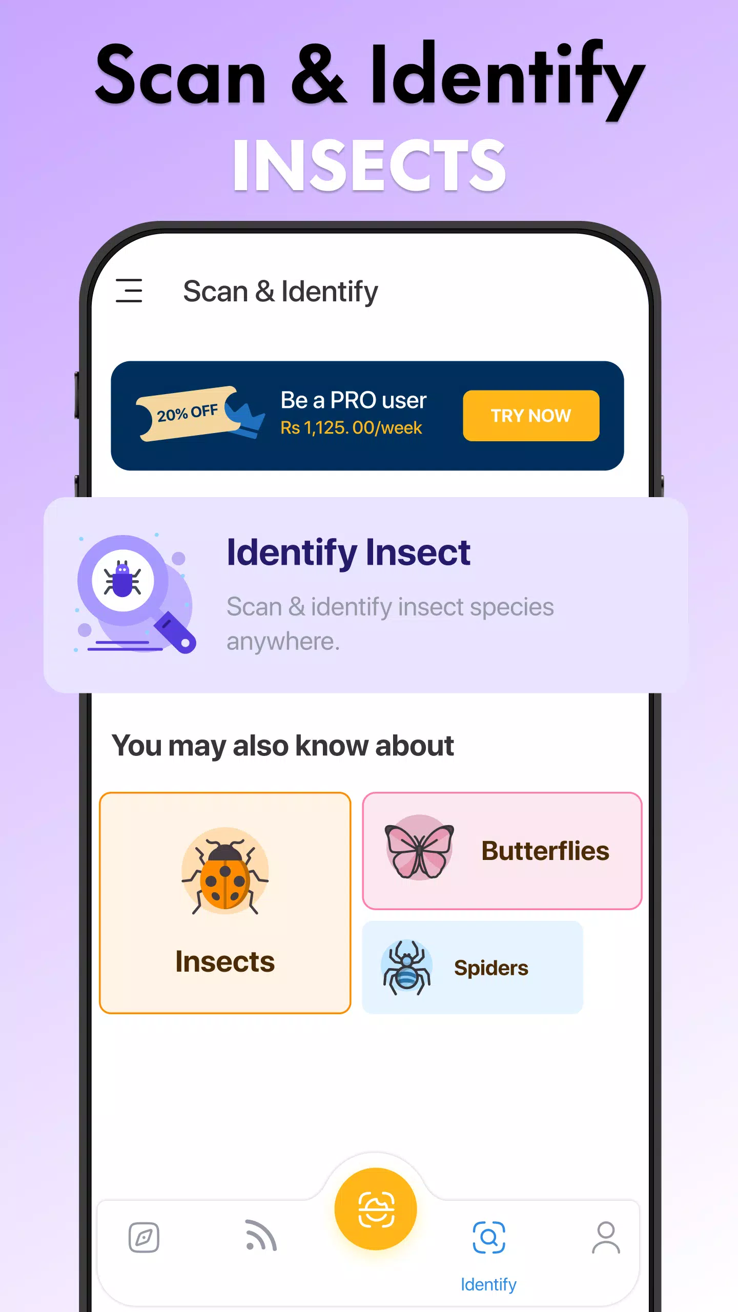 Insect Identifier Bug Identify Captura de pantalla 3