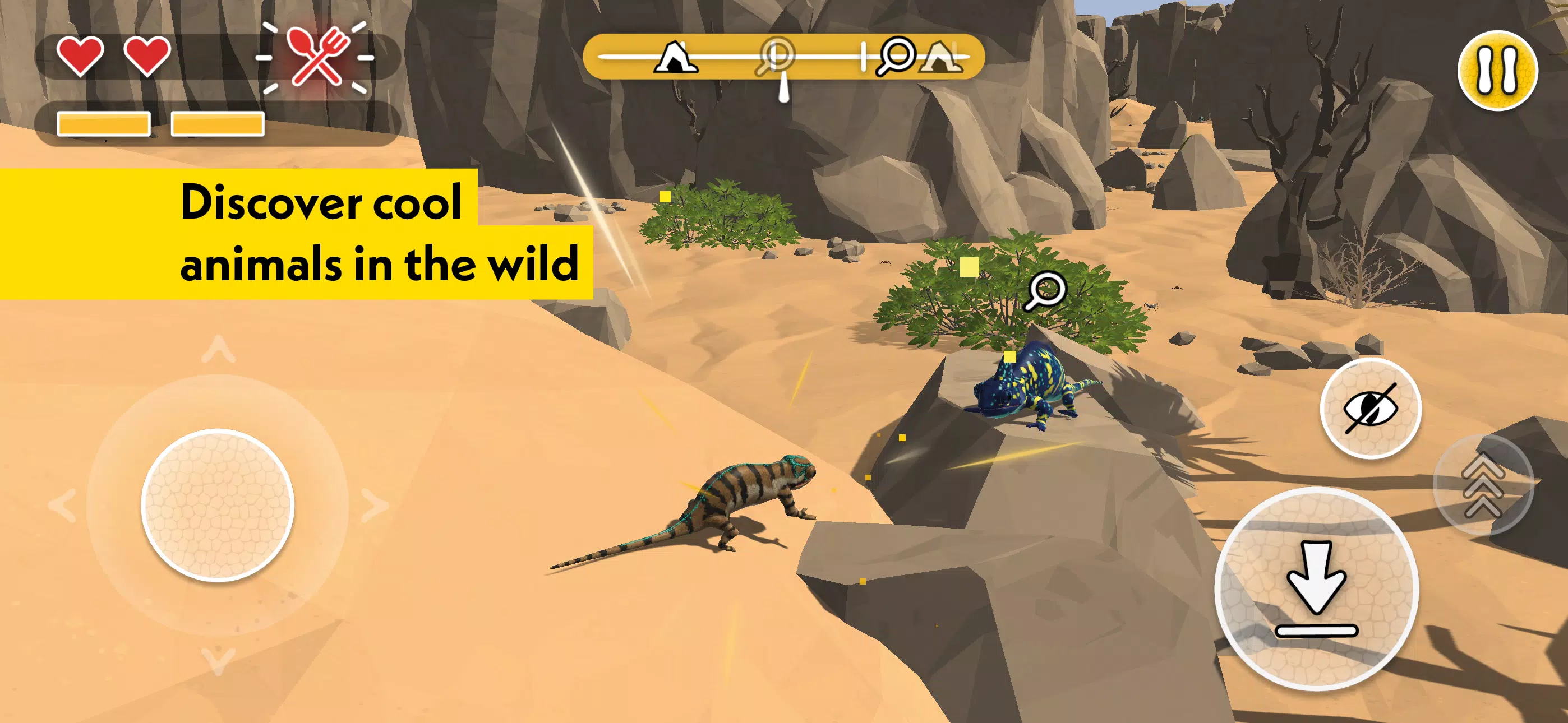 PLANET WOW Wildlife Adventure 螢幕截圖 3