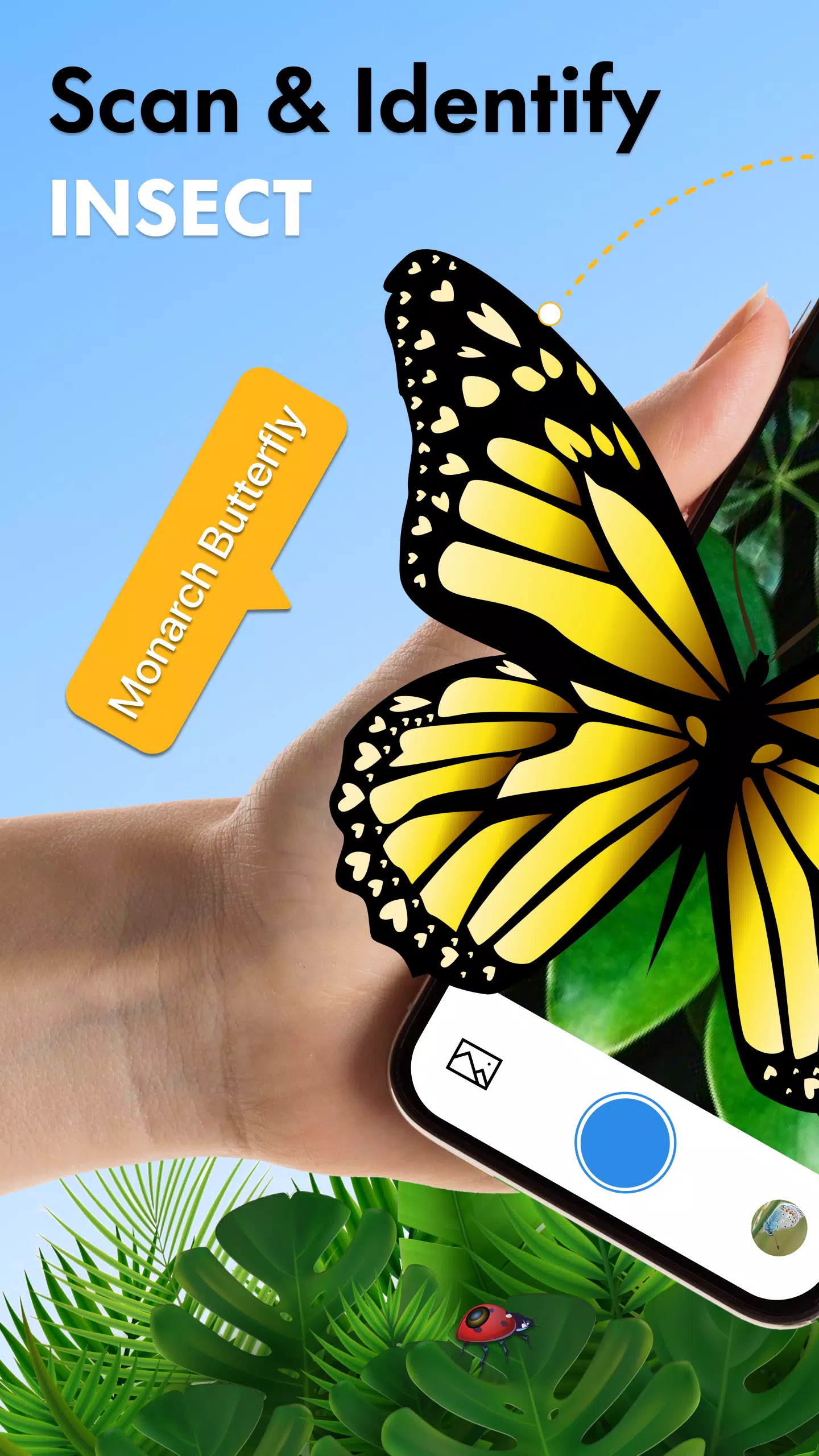 Insect Identifier Bug Identify Captura de pantalla 0