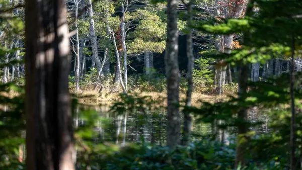 Ghost of Yotei Chose Hokkaido for Its Stark Contrast of Beauty and Peril