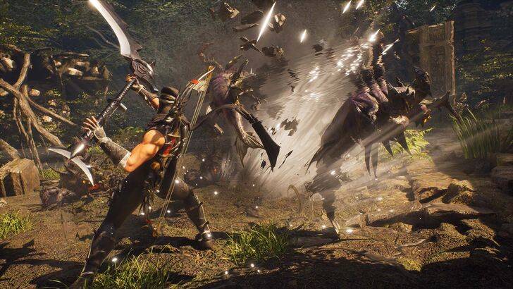在存在的5个版本中，忍者gaiden 2黑色是确定版