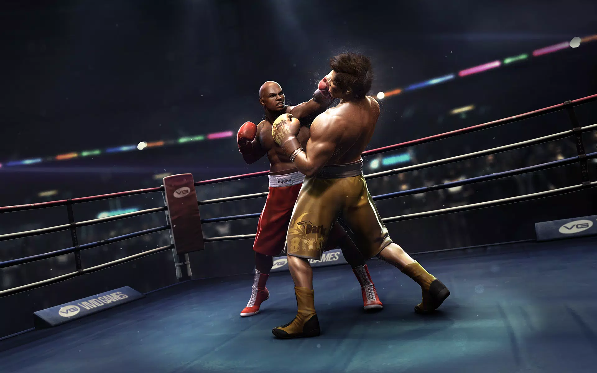 Real Boxing स्क्रीनशॉट 0