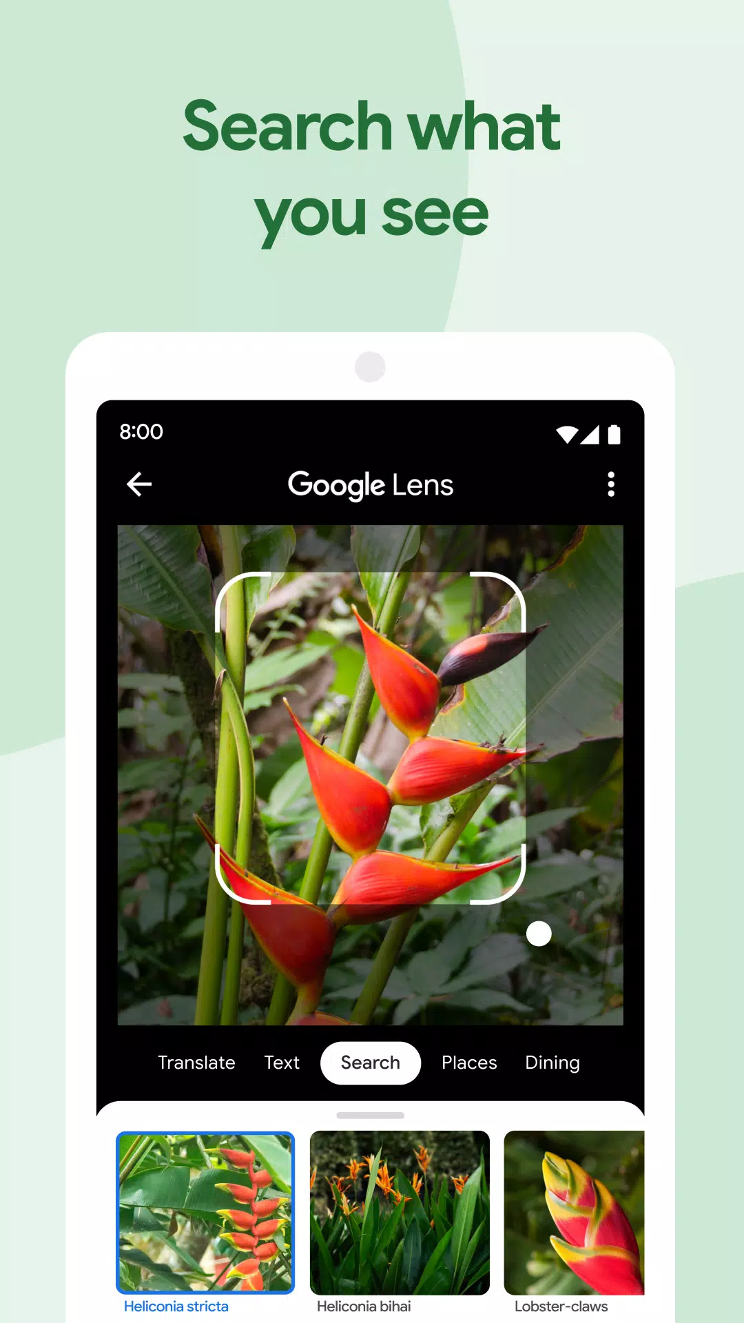 Google Photos Capture d'écran 2
