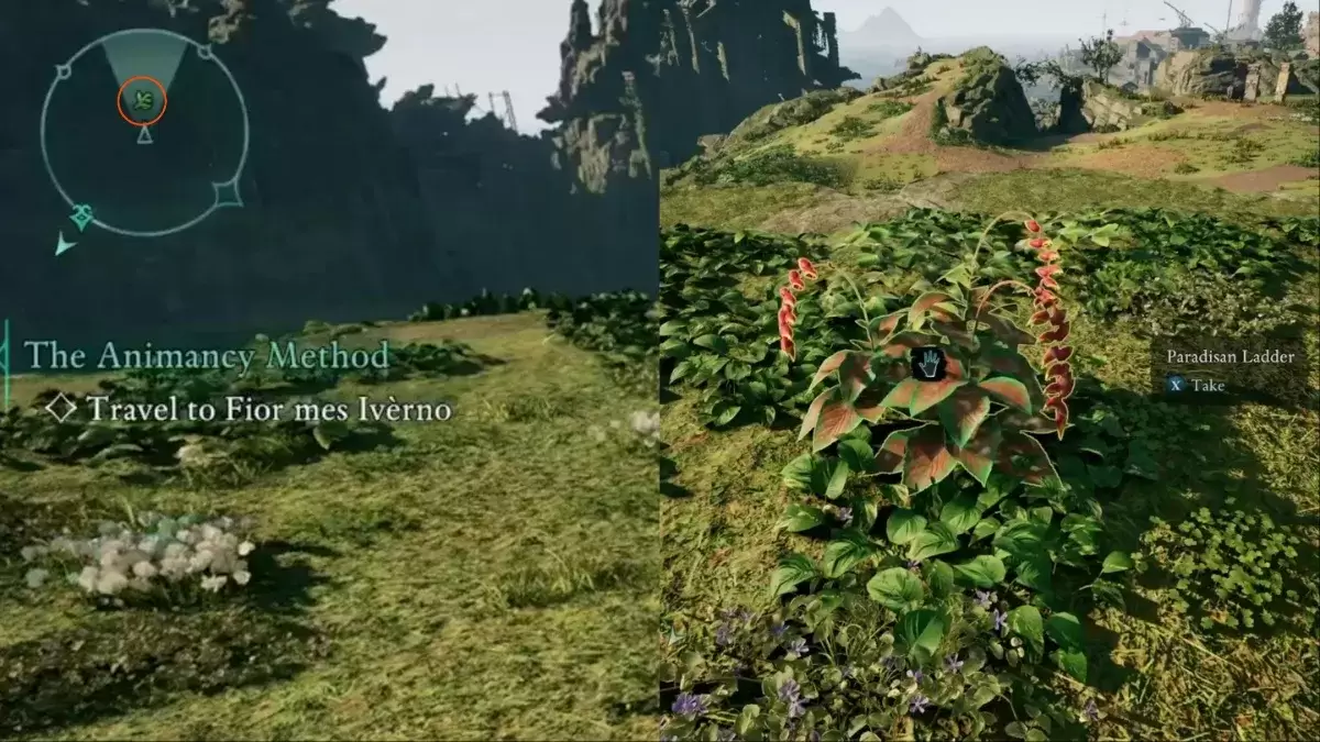 Mini-map highlighting Paradisan Ladder