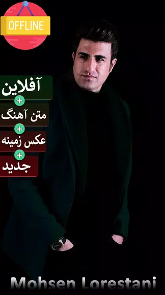 محسن لرستانی همه آهنگ آفلاین Скриншот 0