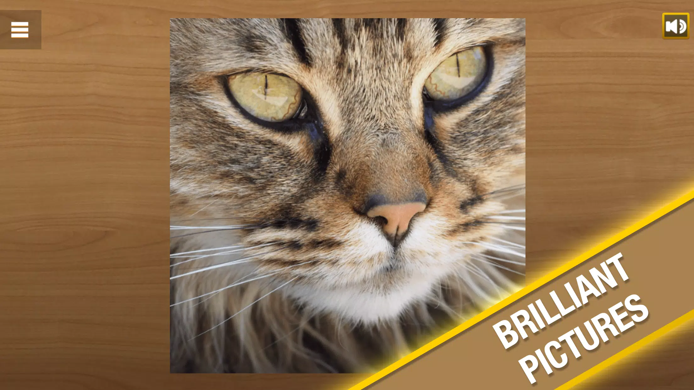 Jigsaw Puzzle Скриншот 1