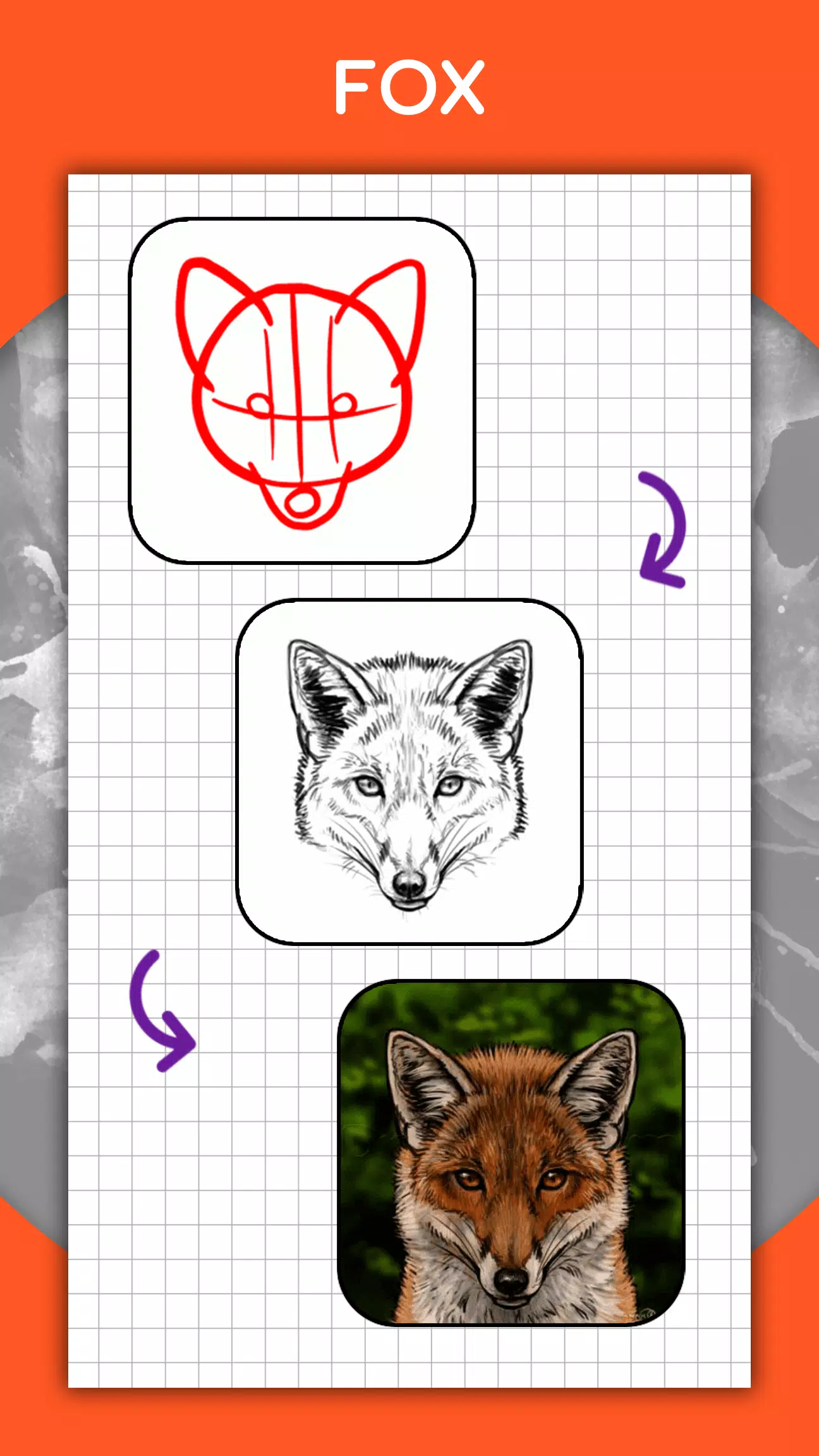 How to draw animals by steps ဖန်သားပြင်ဓာတ်ပုံ 3