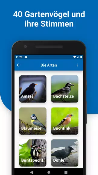 40 Gartenvögel & ihre Stimmen 스크린샷 0