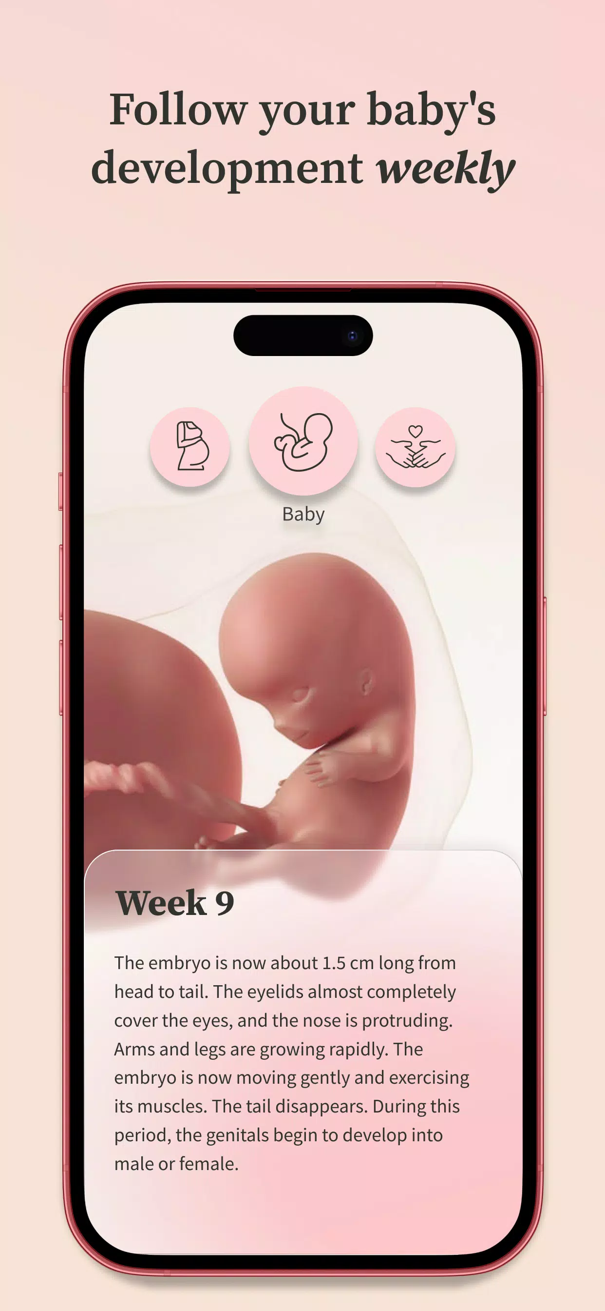 Preglife Скриншот 2