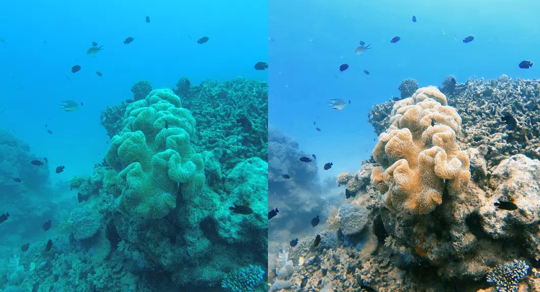 UwEdit - Diving footage editor Captura de pantalla 2