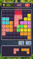 Block Jewel: Brick Puzzle Game Capture d'écran 0