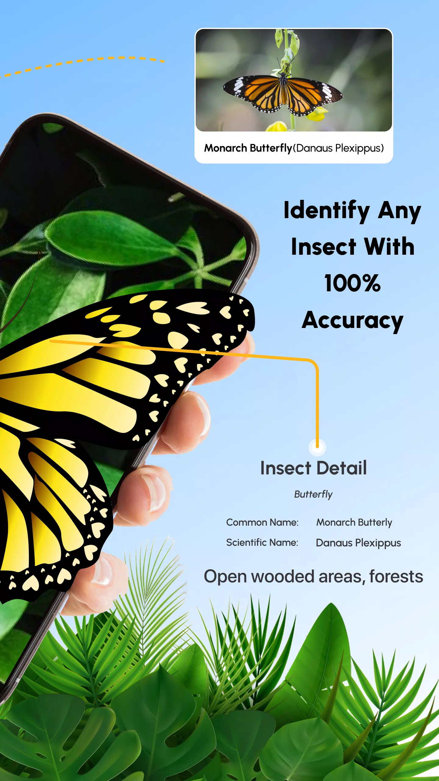 Insect Identifier Bug Identify Captura de pantalla 1