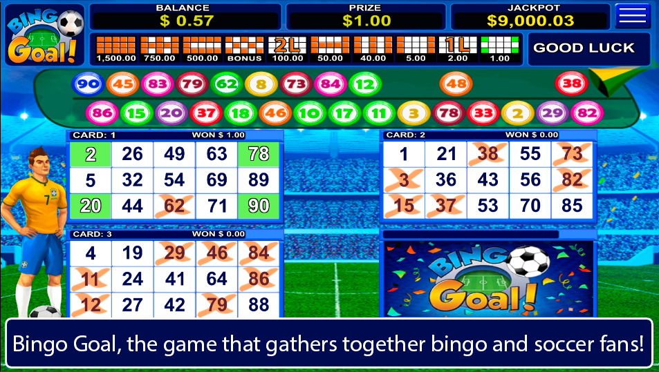 Bingo Goal - Video Bingo ภาพหน้าจอ 0