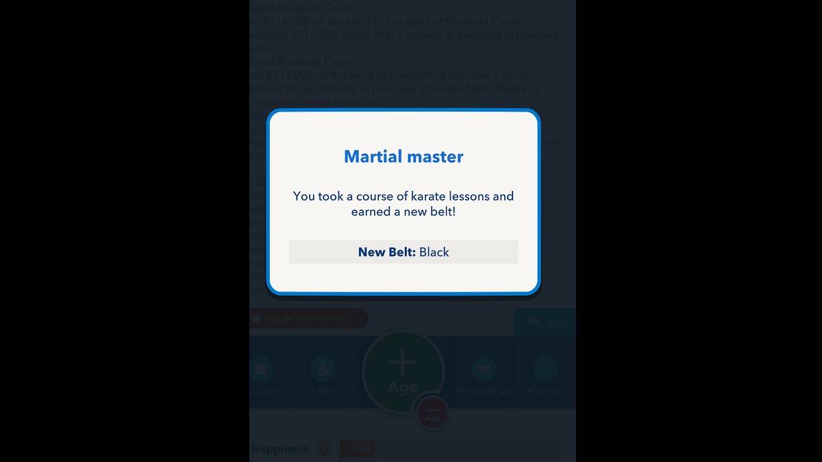 BitLife黑带成就