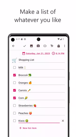 Offline Diary: Journal & Notes应用截图第1张