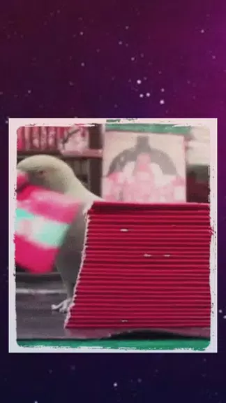 Parrot Tarot card Reading Fortune teller Astrology Captura de tela 1