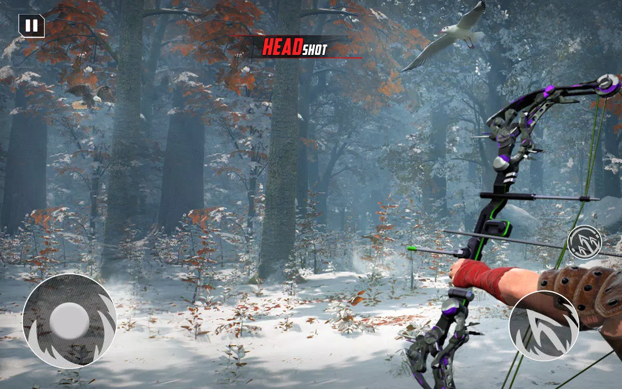 Archery Bow Hunt Shooting V2 螢幕截圖 2
