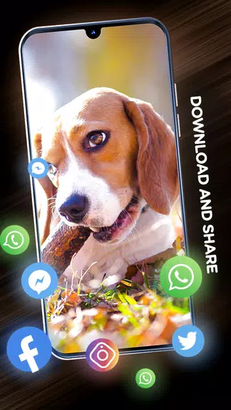 Wallpapers with dogs in 4K Capture d'écran 2
