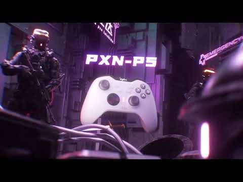 PXN P5コントローラー画像