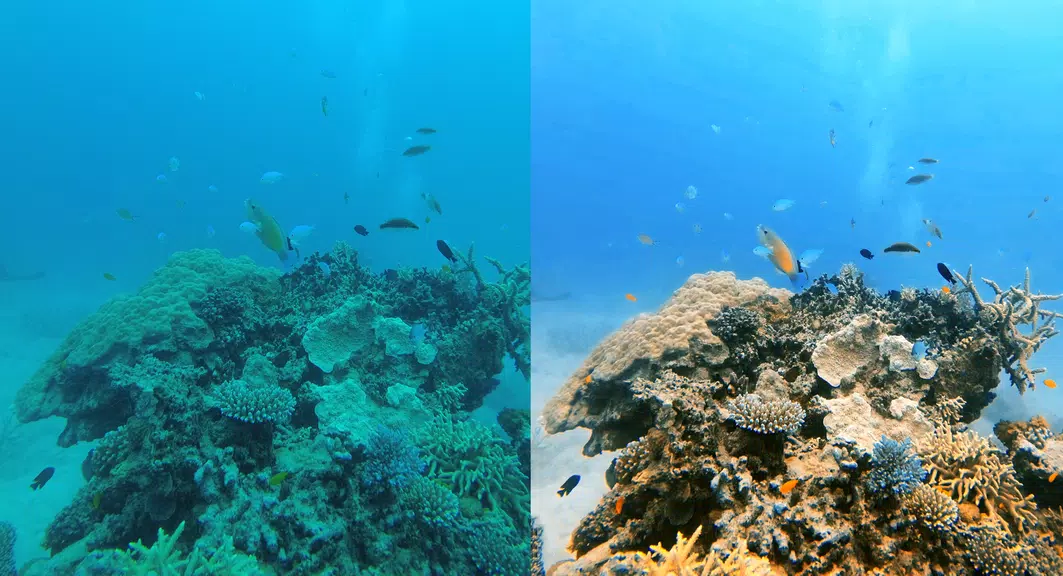 UwEdit - Diving footage editor Captura de pantalla 0