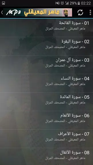 ماهر المعيقلي القران الكريم 스크린샷 2