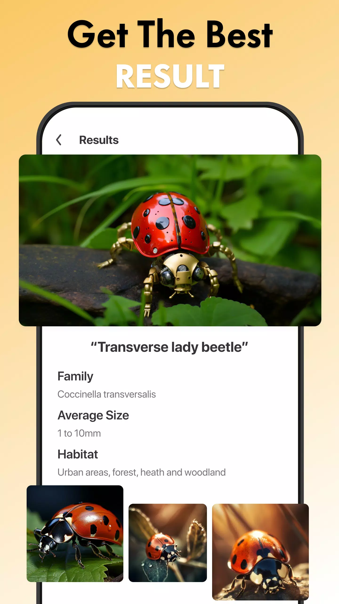 Insect Identifier Bug Identify Captura de pantalla 2