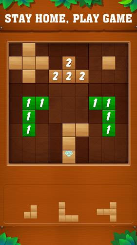 Tetrudoku: Block Puzzle应用截图第0张